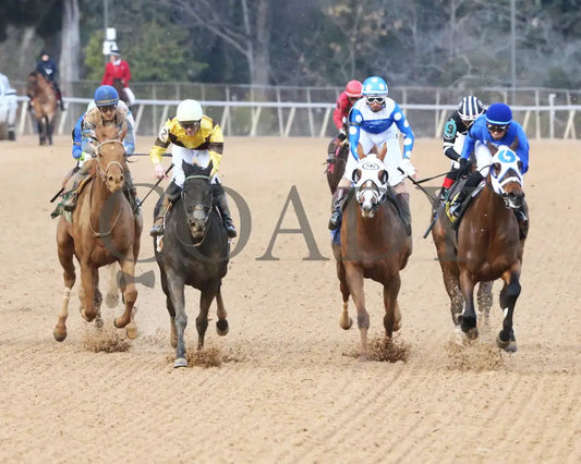 Comparative - Bayakoa Stakes G3 02-02-24 R09 Oaklawn Park Head On 01