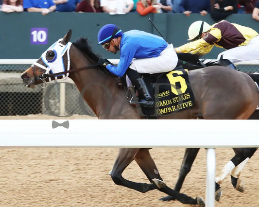 Comparative - Bayakoa Stakes G3 02-02-24 R09 Oaklawn Park Inside Finish 01
