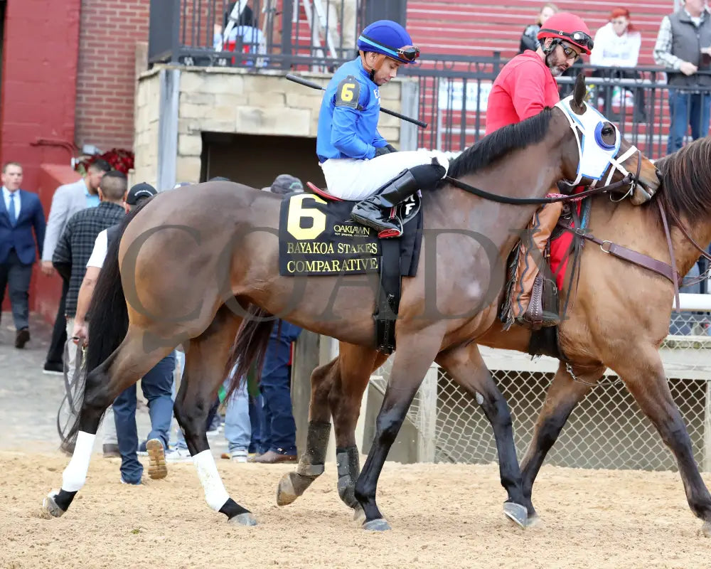 Comparative - Bayakoa Stakes G3 02-02-24 R09 Oaklawn Park Post Parade 01