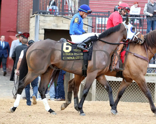 Comparative - Bayakoa Stakes G3 02-02-24 R09 Oaklawn Park Post Parade 01