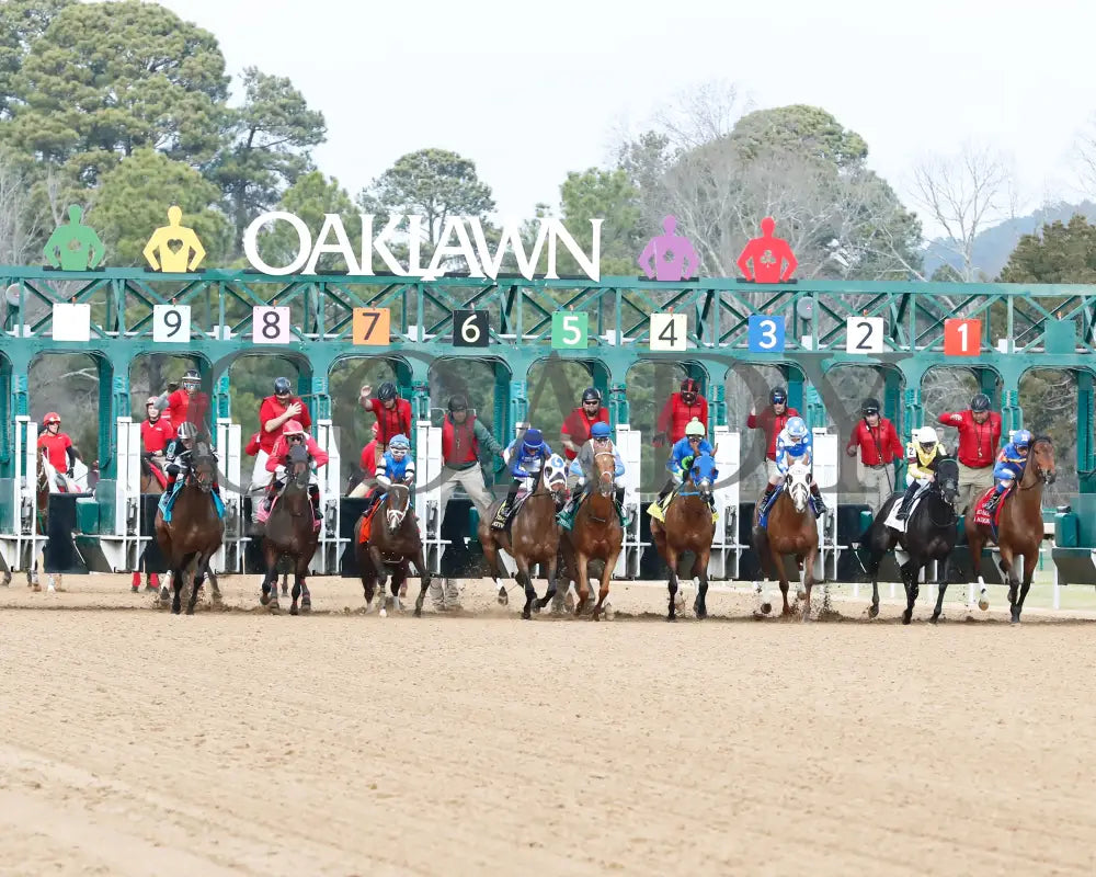 Comparative - Bayakoa Stakes G3 02-02-24 R09 Oaklawn Park Start 01