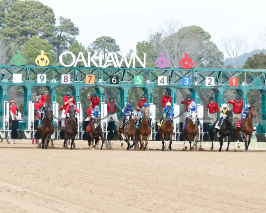 Comparative - Bayakoa Stakes G3 02-02-24 R09 Oaklawn Park Start 01