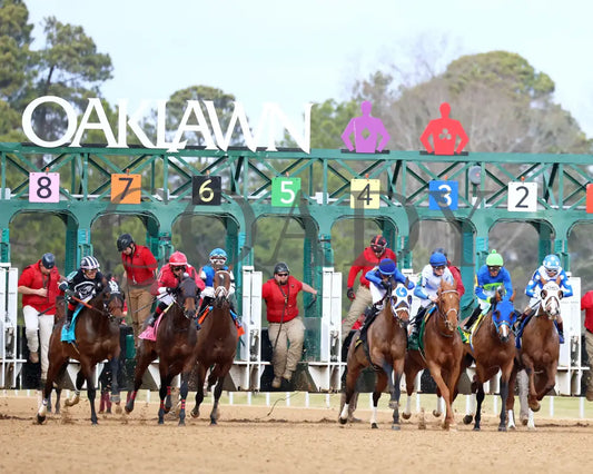Comparative - Bayakoa Stakes G3 02-02-24 R09 Oaklawn Park Start 02