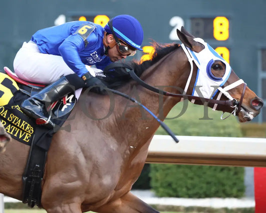 Comparative - Bayakoa Stakes G3 02-02-24 R09 Oaklawn Park Tight Finish 01