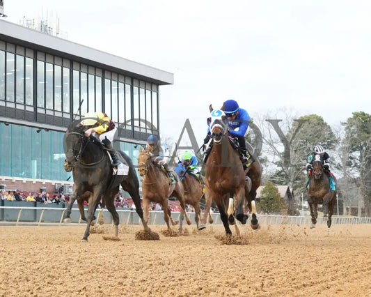 Comparative - Bayakoa Stakes G3 02-02-24 R09 Oaklawn Park Underrail 01