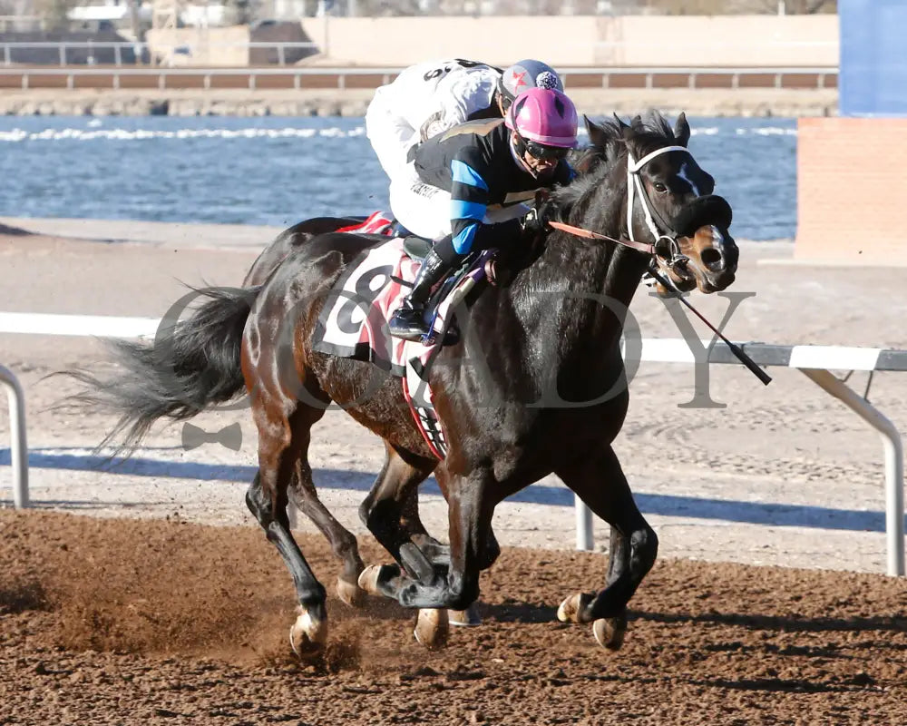 Competitive Idea - 33Rd Running Of The Klaq Handicap 01-05-24 R08 Sunland Park Finish Zia
