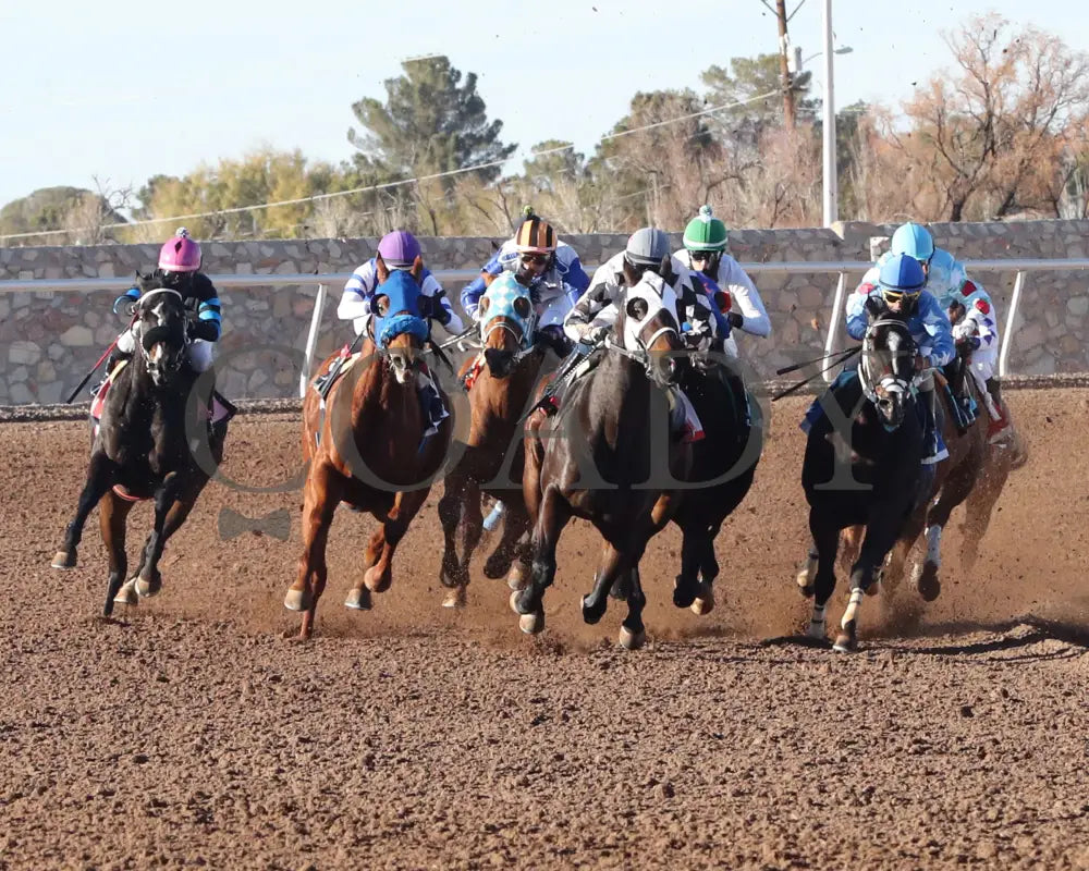 Competitive Idea - 33Rd Running Of The Klaq Handicap 01-05-24 R08 Sunland Park Turn Shot Zia