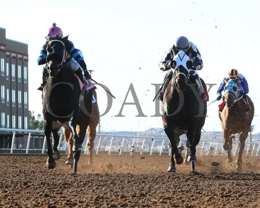 Competitive Idea - 33Rd Running Of The Klaq Handicap 01-05-24 R08 Sunland Park Under Rail Zia