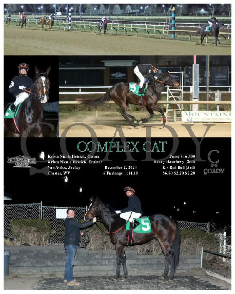 Complex Cat - 12-02-24 R03 Mnr Mountaineer Park