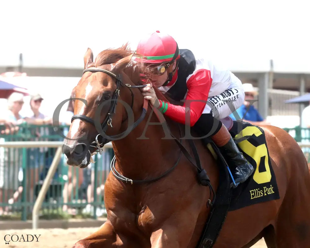 COMPORT - The Ellis Park Juvenile - 08-10-25 - R06 - ELP - Inside Finish 01 Ellis Park