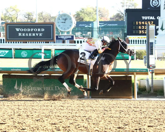 Concrete Glory - 111624 Race 06 Cd Finish 01 Churchill Downs