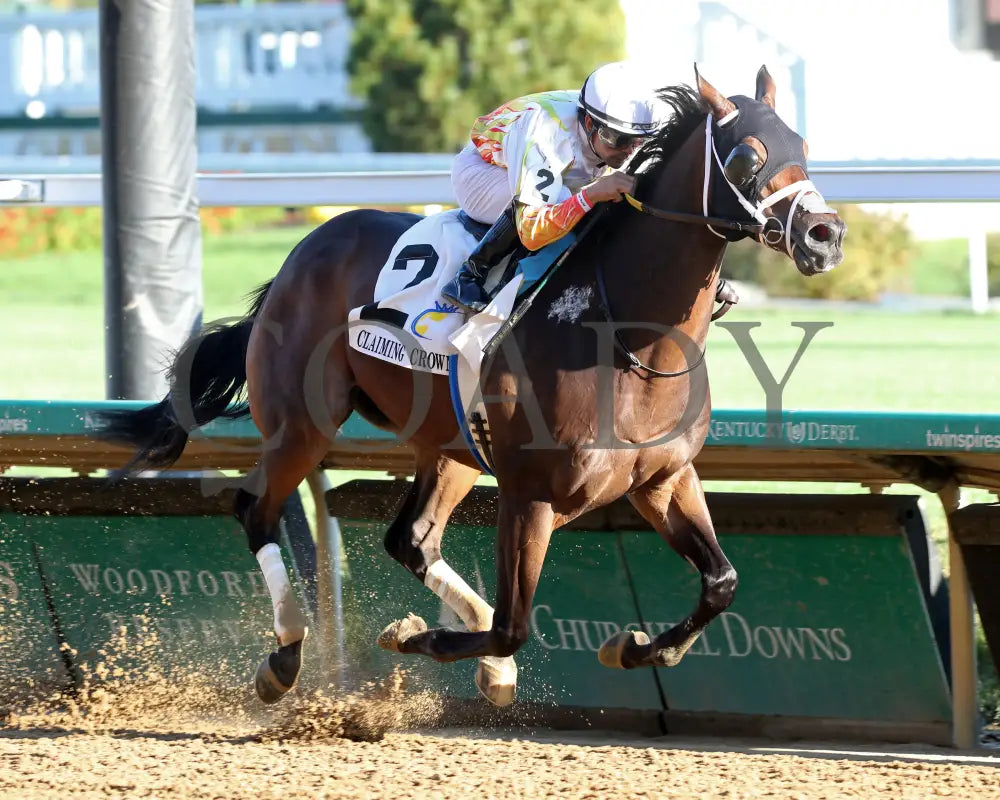 Concrete Glory - 111624 Race 06 Cd Finish 02 Churchill Downs