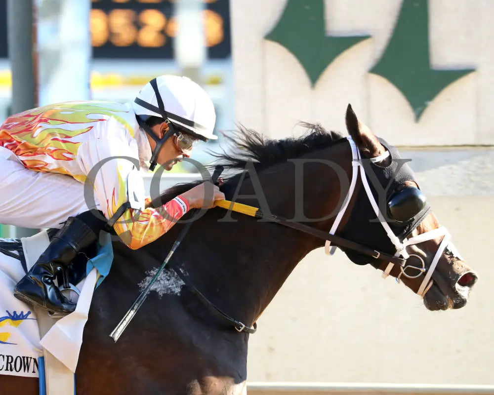 Concrete Glory - 111624 Race 06 Cd Tight Finish 01 Churchill Downs