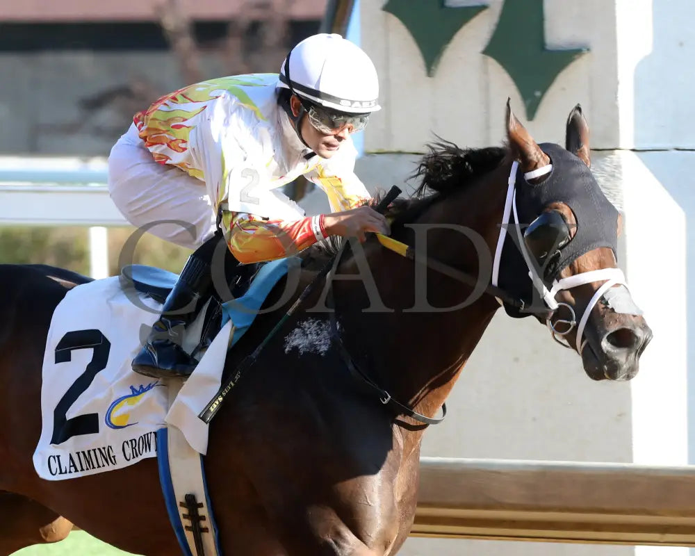 Concrete Glory - 111624 Race 06 Cd Tight Finish 02 Churchill Downs