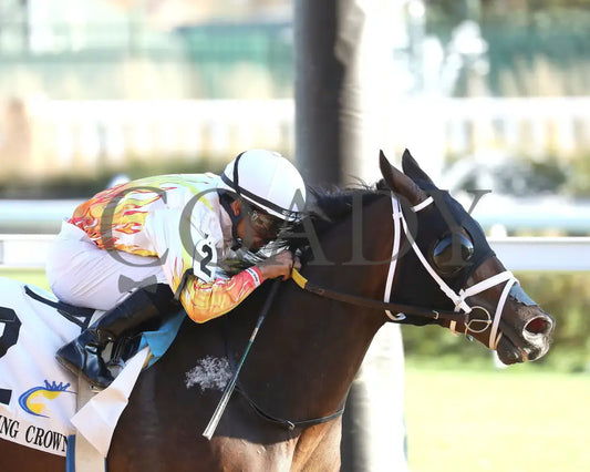 Concrete Glory - 111624 Race 06 Cd Tight Finish 03 Churchill Downs