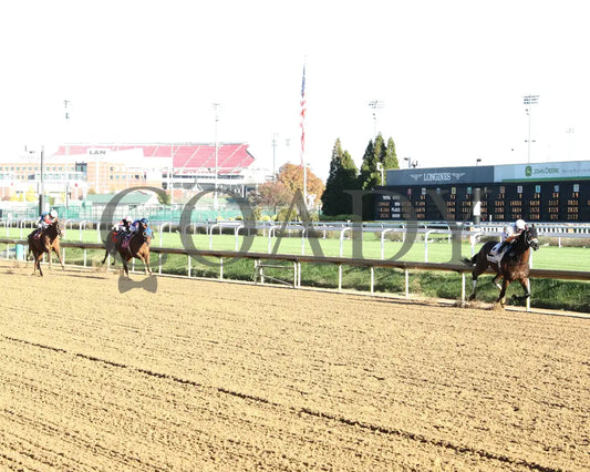Concrete Glory - 111624 Race 06 Cd Up Track 01 Churchill Downs
