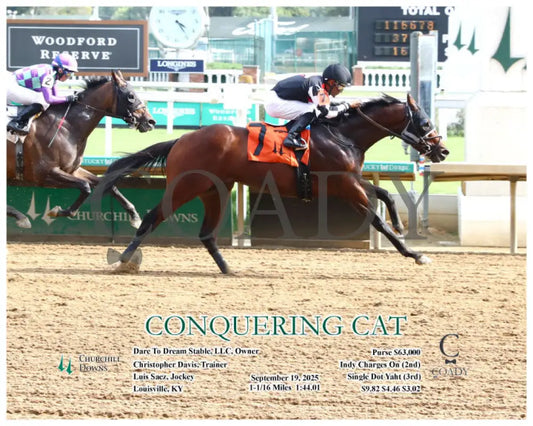 CONQUERING CAT - 09-19-25 - R08 - CD - Action - Coady Media - Kurtis Coady Photography