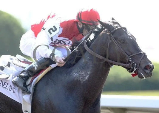 Cool C Note - 4 100811 Race 01 Keeneland