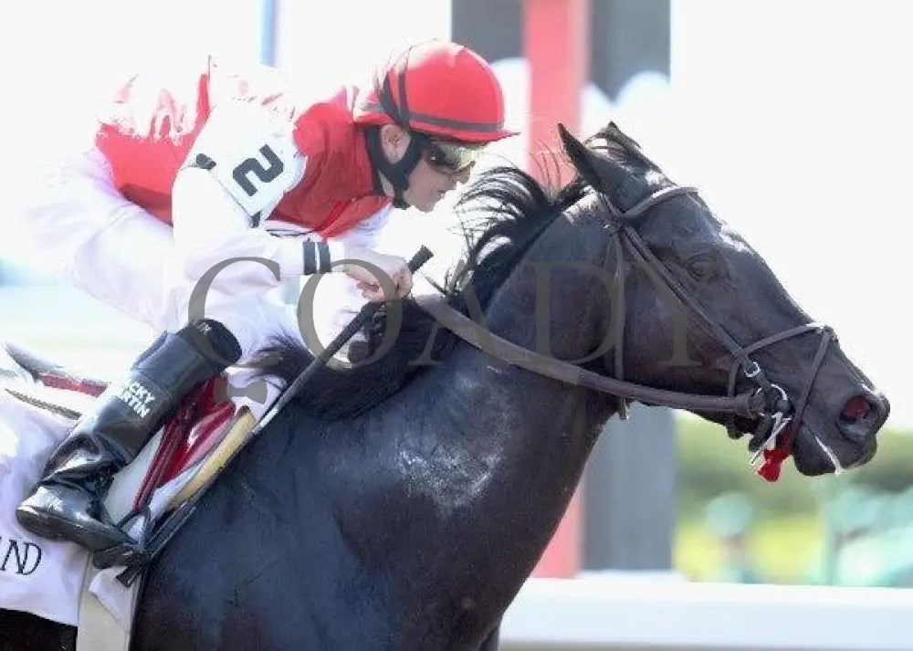 Cool C Note - 6 100811 Race 01 Keeneland