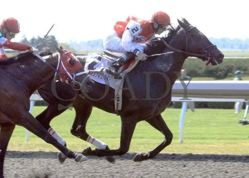 Cool C Note - 7 100811 Race 01 Keeneland