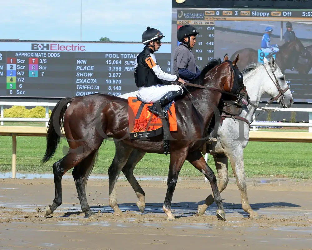 Coppola - William Garrett Handicap 4Th Running 07-05-24 R08 Horseshoe Indiana Post Parade 01