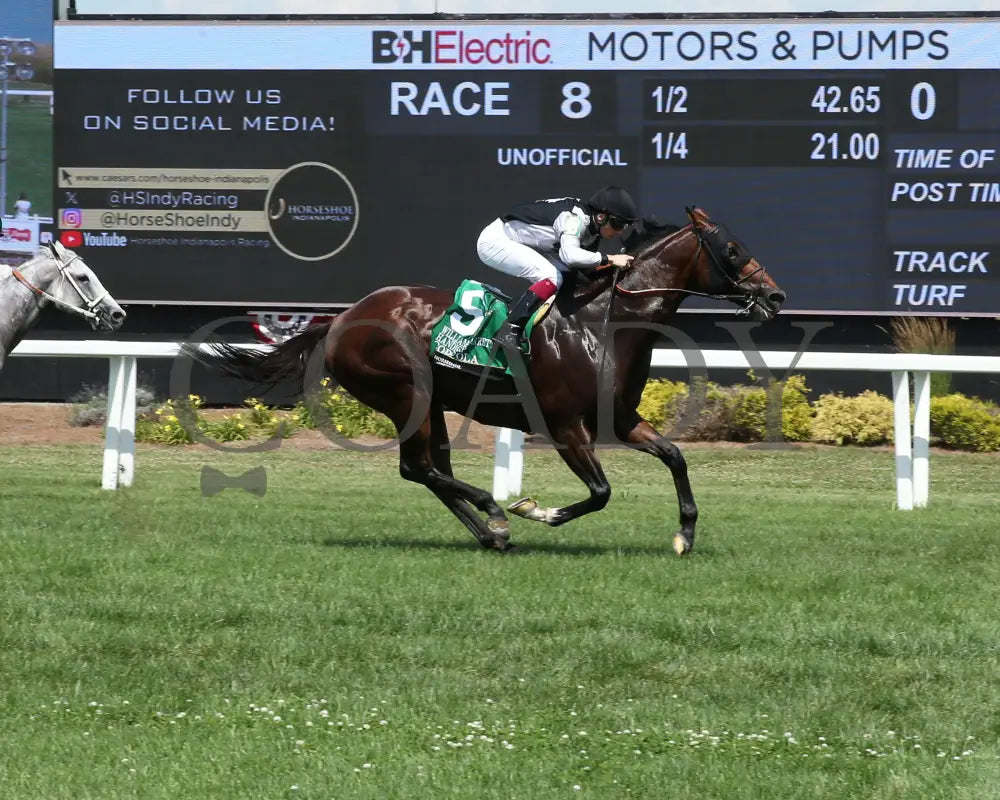 COPPOLA - William Garrett Handicap - 5th Running - 07-04-25 - R08 - Horseshoe Indiana - Finish 01 - Sammantha Pagels