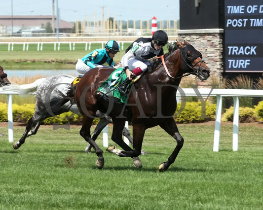 COPPOLA - William Garrett Handicap - 5th Running - 07-04-25 - R08 - Horseshoe Indiana - Finish 02 - Eli Davis Indiana