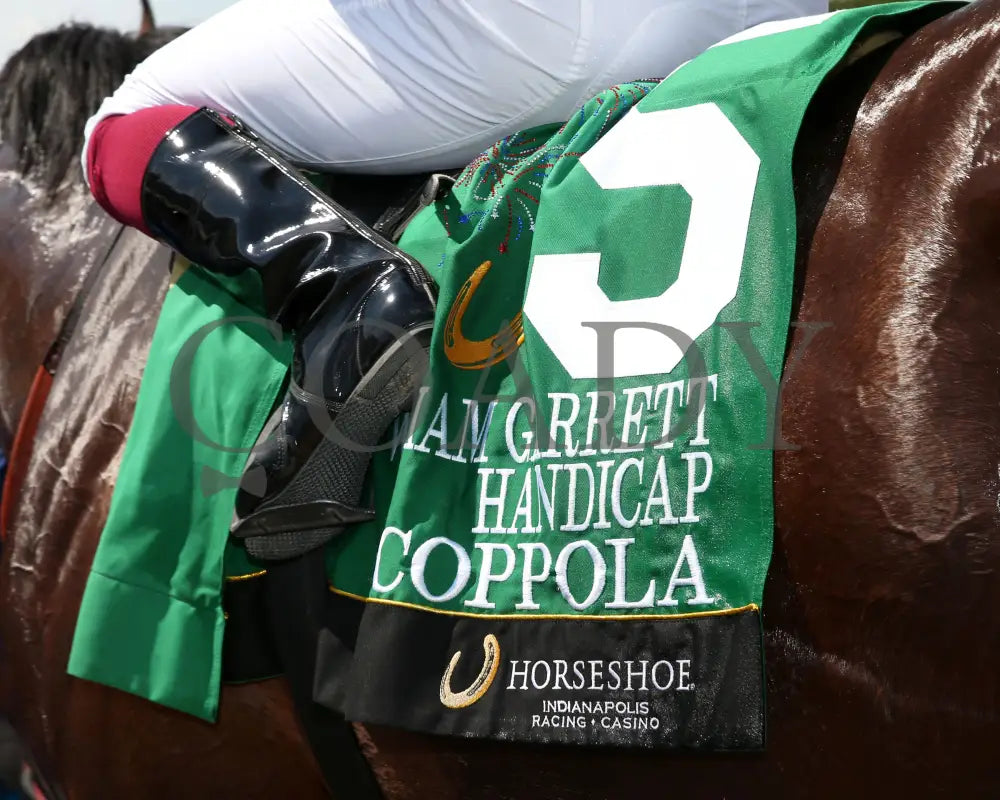 COPPOLA - William Garrett Handicap - 5th Running - 07-04-25 - R08 - Horseshoe Indiana - Saddle Towel 01 - Sammantha
