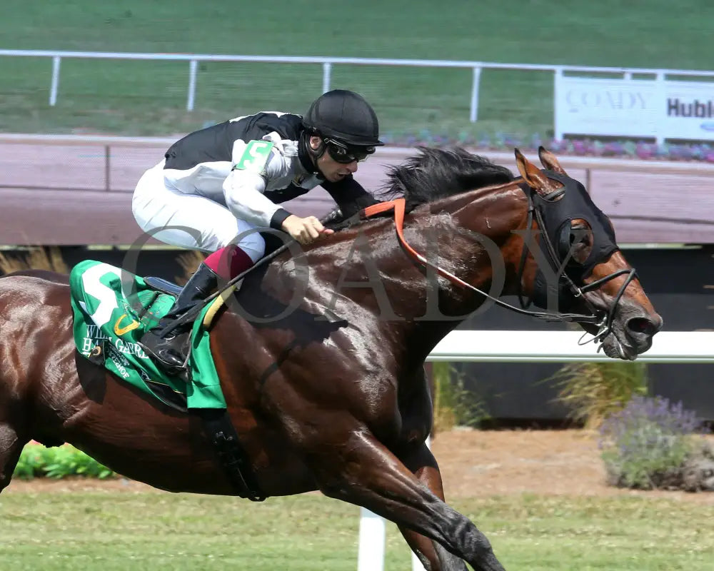 COPPOLA - William Garrett Handicap - 5th Running - 07-04-25 - R08 - Horseshoe Indiana - Tight Finish 01 - Eli Davis