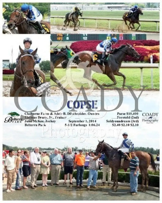 Copse - 090114 Race 03 Btp Belterra Park