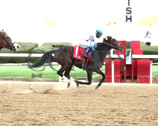 Corningstone - 011925 Race 09 Op The Pippin Stakes Action 1 Oaklawn Park
