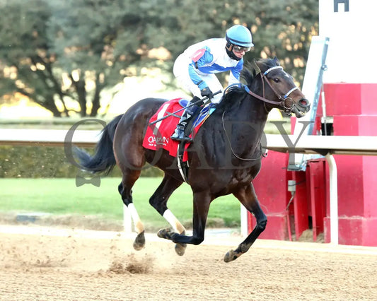 Corningstone - 011925 Race 09 Op The Pippin Stakes Action 2 Oaklawn Park