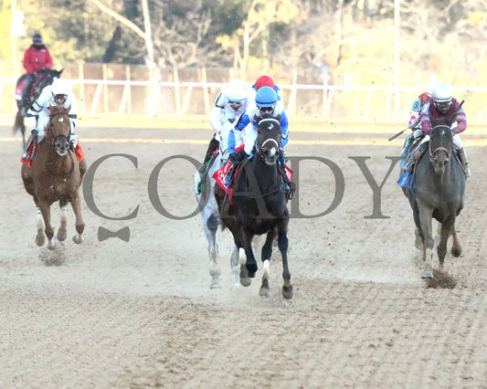 Corningstone - 011925 Race 09 Op The Pippin Stakes Action 3 Oaklawn Park
