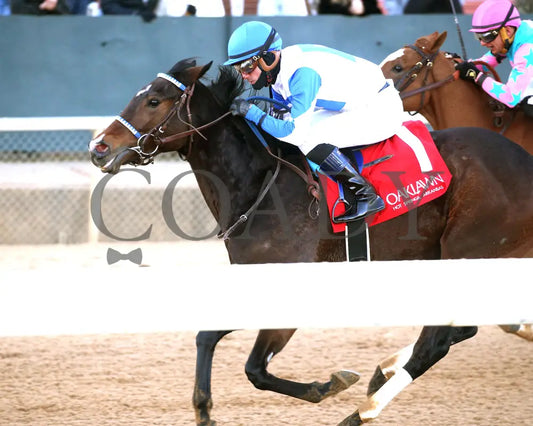Corningstone - 011925 Race 09 Op The Pippin Stakes Action 4 Oaklawn Park