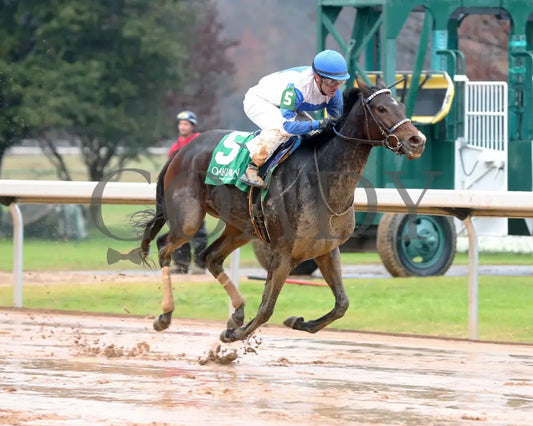 Corningstone - Mistletoe Stakes 12-14-24 R09 Op Finish 02 Oaklawn Park