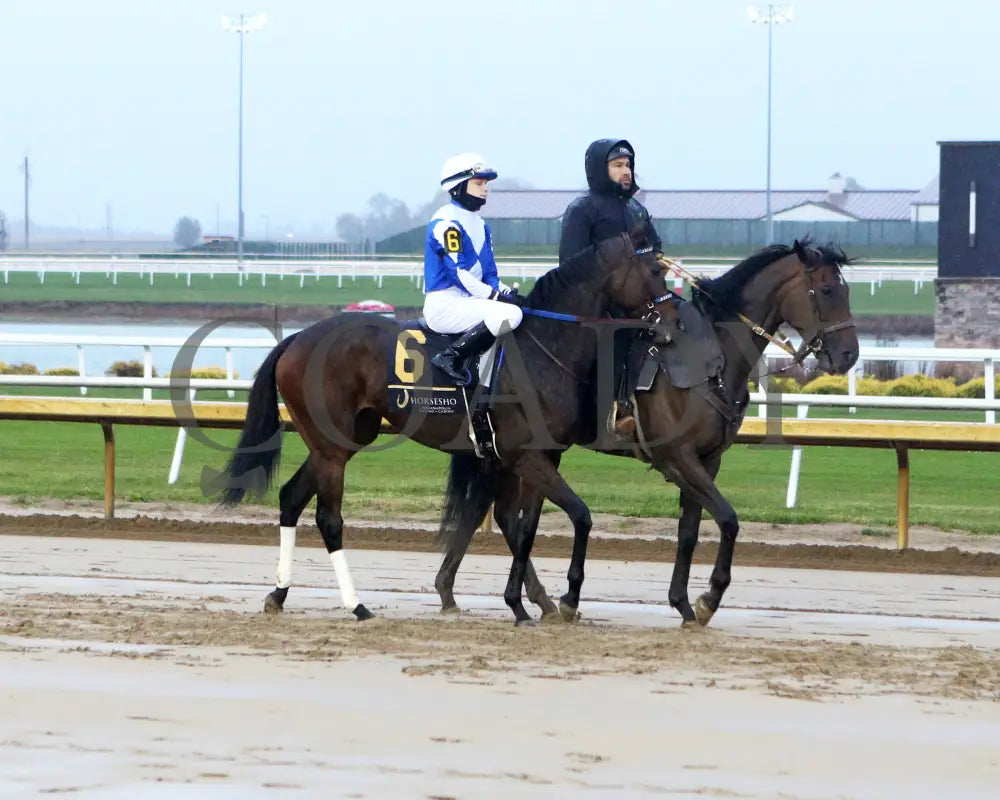 CORNINGSTONE - The Fireball Baby Overnight Handicap - 10-29-25 - R09 - Horseshoe Indiana - Post Parade 01 - Sammantha