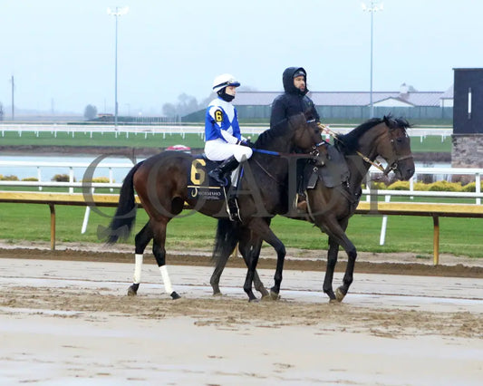 CORNINGSTONE - The Fireball Baby Overnight Handicap - 10-29-25 - R09 - Horseshoe Indiana - Post Parade 01 - Sammantha