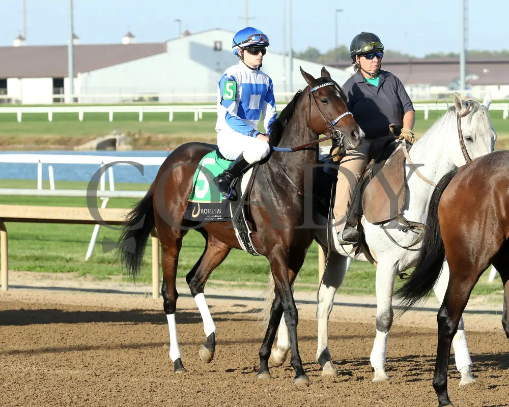 CORNINGSTONE - The Piedi Bianchi - 29th Running - 10-01-25 - R08 - Horseshoe Indiana - Post Parade 01 - Devin Hall - Coady Media - Kurtis Coady Photography