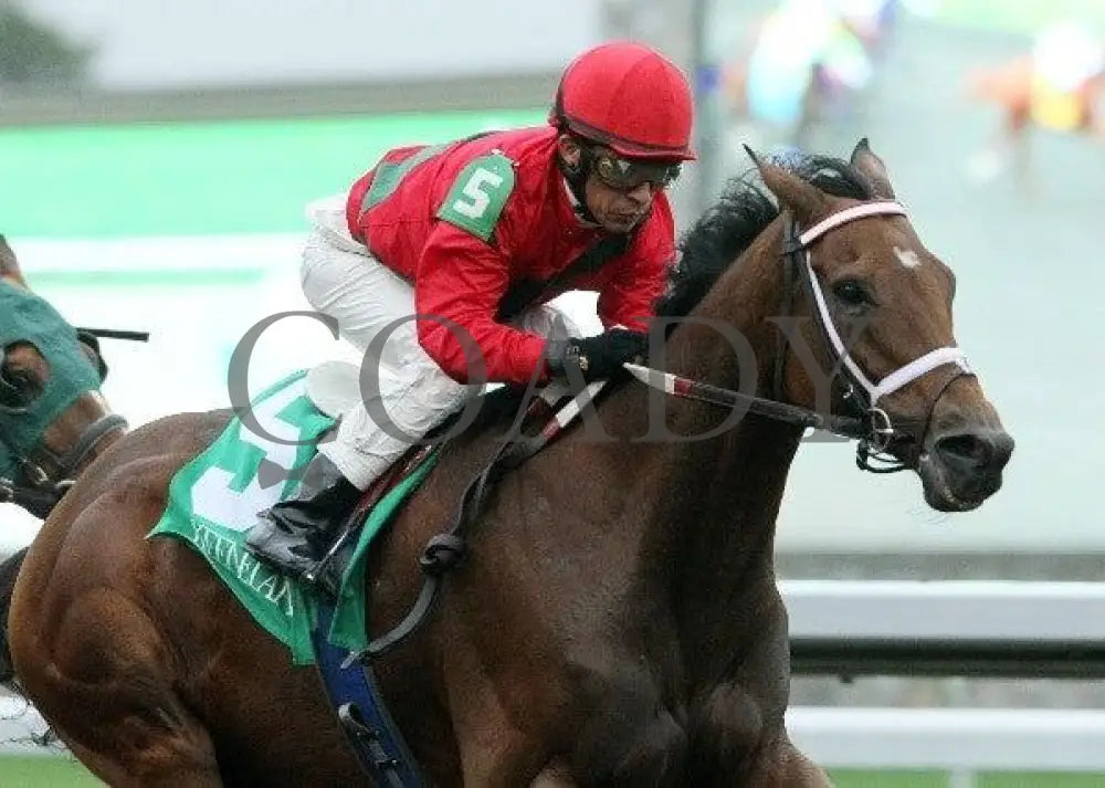 Cornwhiskey - 3 101911 Race 03 Keeneland