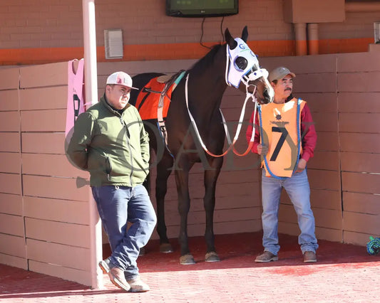Corrina - 23Rd Running Of The Nm State Racing Commission Handicap 01-05-24 R07 Sunland Park Paddock