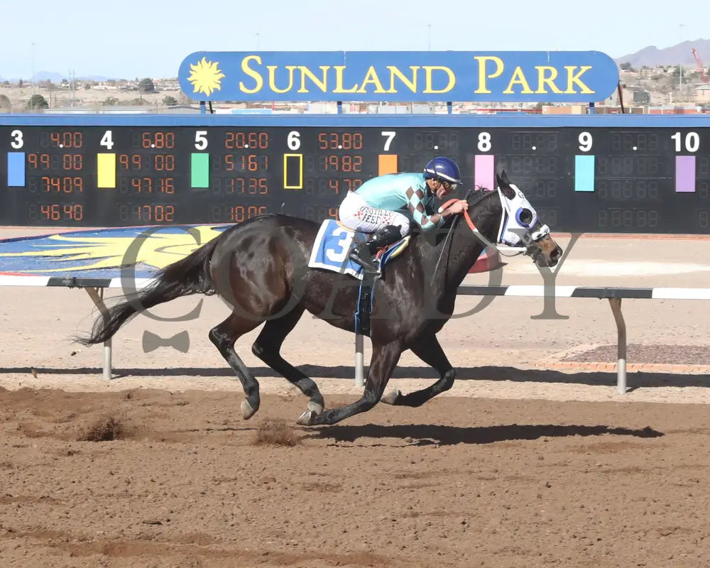 CORRINA CORRINA - Harry Henson Stakes - 31st Running - 02-16-25 - R05 - Sunland Park - Finish Turfway Park