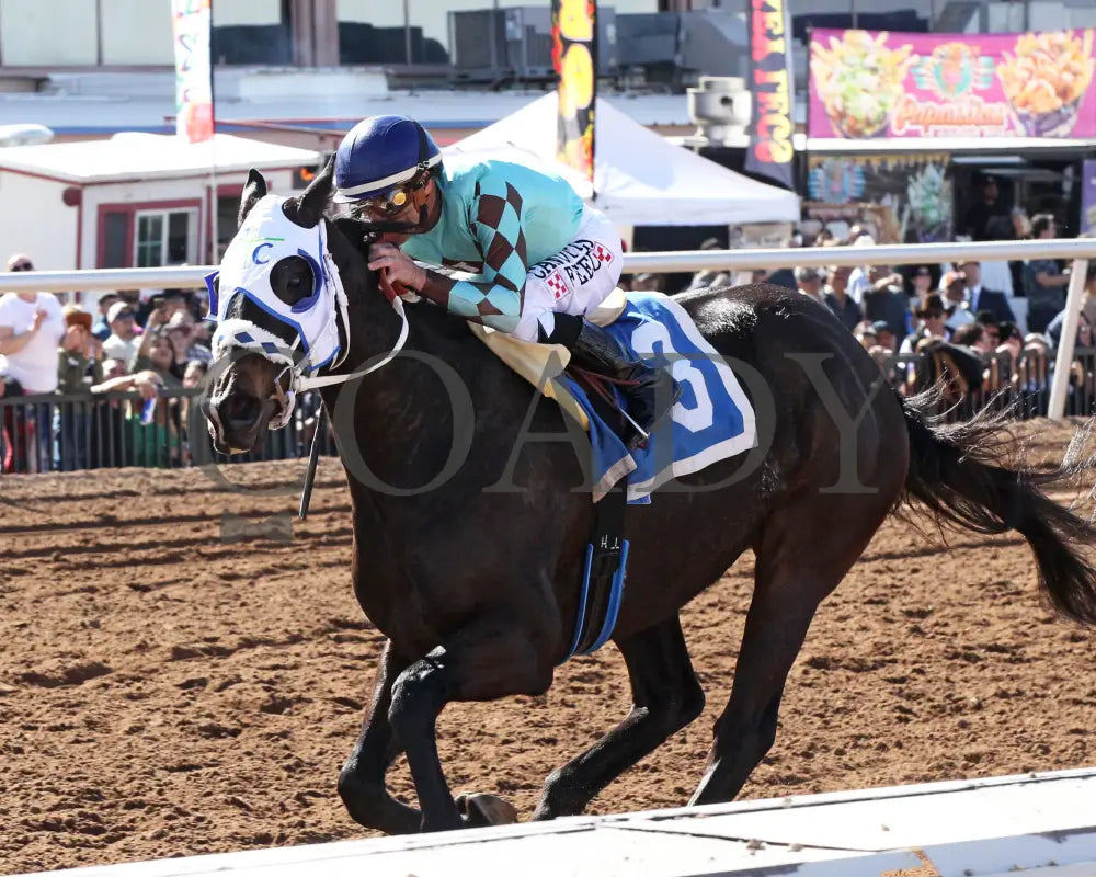 CORRINA CORRINA - Harry Henson Stakes - 31st Running - 02-16-25 - R05 - Sunland Park - Inside Finish Turfway Park