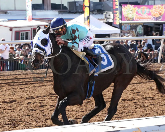CORRINA CORRINA - Harry Henson Stakes - 31st Running - 02-16-25 - R05 - Sunland Park - Inside Finish Turfway Park
