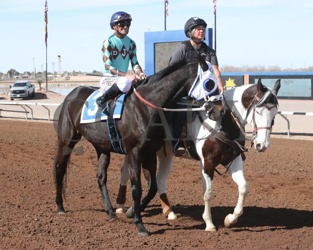 CORRINA CORRINA - Harry Henson Stakes - 31st Running - 02-16-25 - R05 - Sunland Park - Post Parade Turfway Park