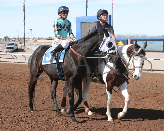 CORRINA CORRINA - Harry Henson Stakes - 31st Running - 02-16-25 - R05 - Sunland Park - Post Parade Turfway Park