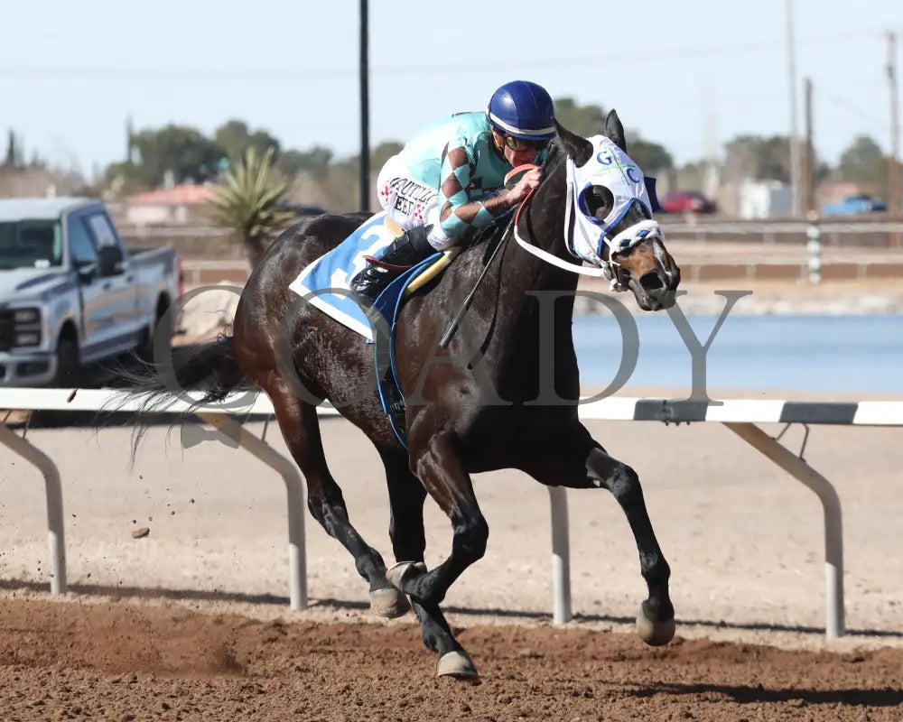 CORRINA CORRINA - Harry Henson Stakes - 31st Running - 02-16-25 - R05 - Sunland Park - Stretch Turfway Park