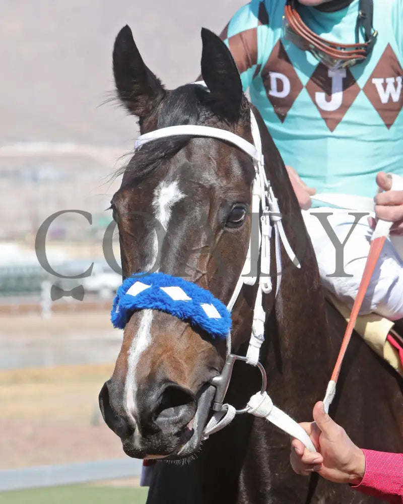 CORRINA CORRINA - New Mexico State University Stakes-22nd Running 002 Turfway Park