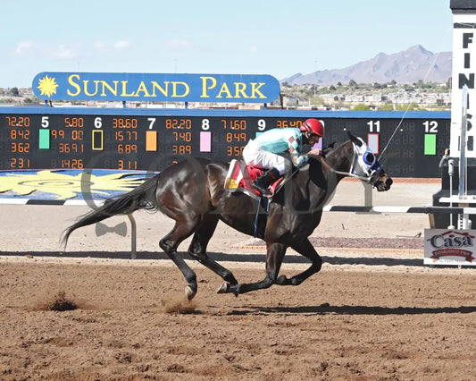 CORRINA CORRINA - New Mexico State University Stakes-22nd Running Action Turfway Park