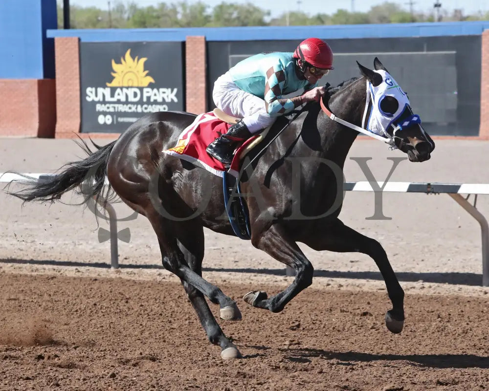 CORRINA CORRINA - New Mexico State University Stakes-22nd Running Finish Turfway Park