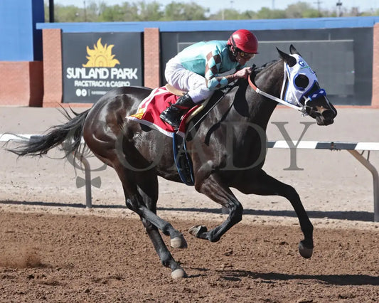 CORRINA CORRINA - New Mexico State University Stakes-22nd Running Finish Turfway Park